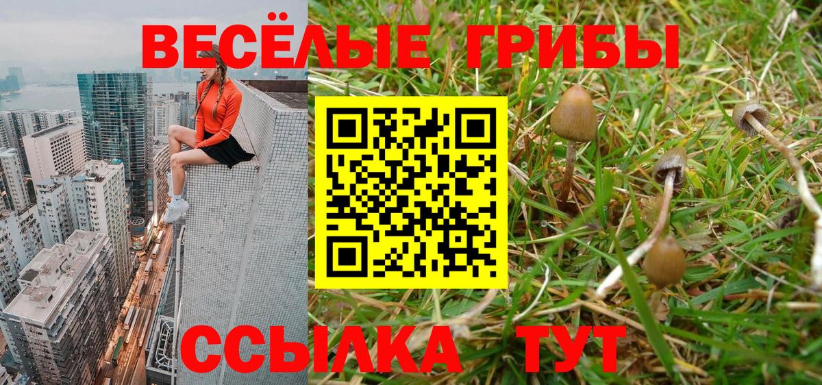 Галлюциногенные грибы Magic Shrooms  Псилоцибиновые грибы прущие грибы  магазин продажи   Вход с VPN  Ливны 